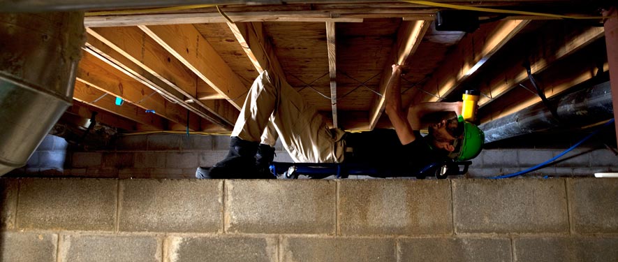 Humble, TX mold removal